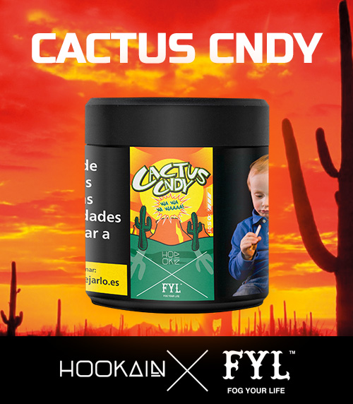 fyl cactus cndy